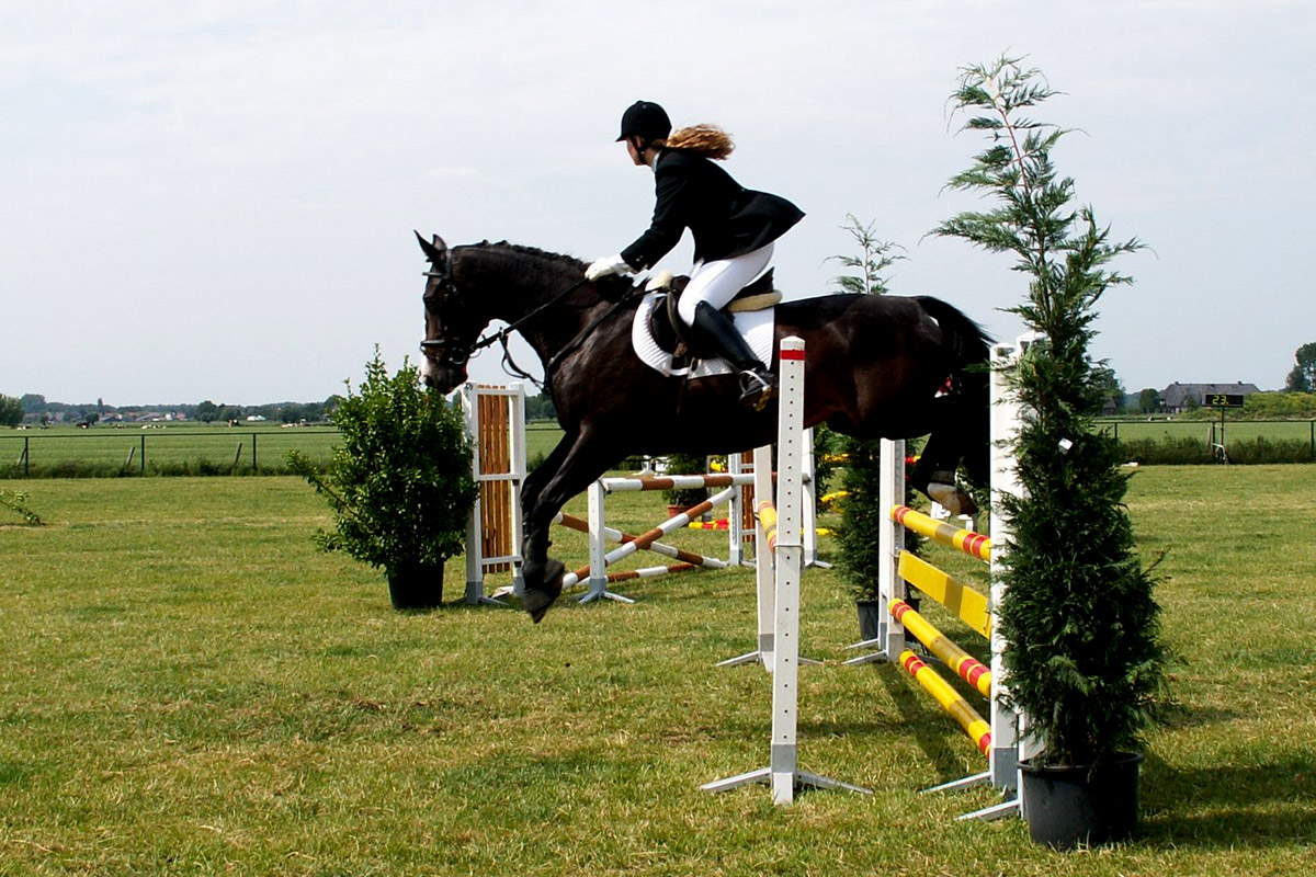 Horse Riding, Holiday Accommodation, Lambourn, Berkshire, UK