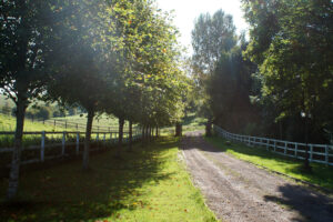 Lambourn House, Holiday Accommodation, Functions, Events & Corporate, Lambourn, Berkshire, UK